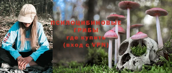 герыч Надым
