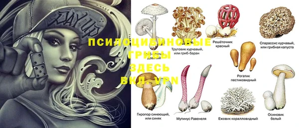МДПВ Наволоки