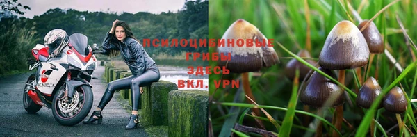 герыч Надым