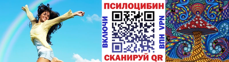 Галлюциногенные грибы Psilocybe  Новозыбков 