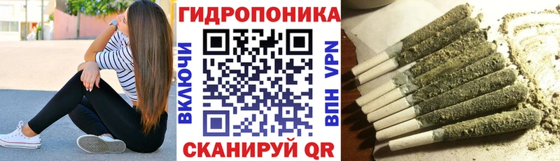 блэк спрут вход  Новозыбков  Конопля тримм  купить закладку 